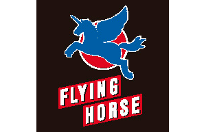 Flying house